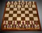 Obama Chess - играть онлайн бесплатно