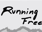 Free Run - играть онлайн бесплатно