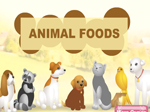 Animal Foods - играть онлайн бесплатно