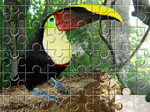 Toucan Jigsaw Puzzle - играть онлайн бесплатно
