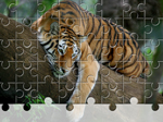 Tiger On Tree Jigsaw - играть онлайн бесплатно