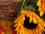 Jigsaw: Autumn Sunflower - играть онлайн бесплатно
