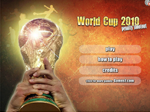 Чемпионат мира 2010 - играть онлайн бесплатно