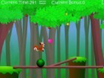 Squirrel Balance - играть онлайн бесплатно