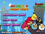 Angry Birds sokrovishnitca - играть онлайн бесплатно