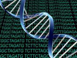 Интернет вызывает мутацию в человеческом ДНК